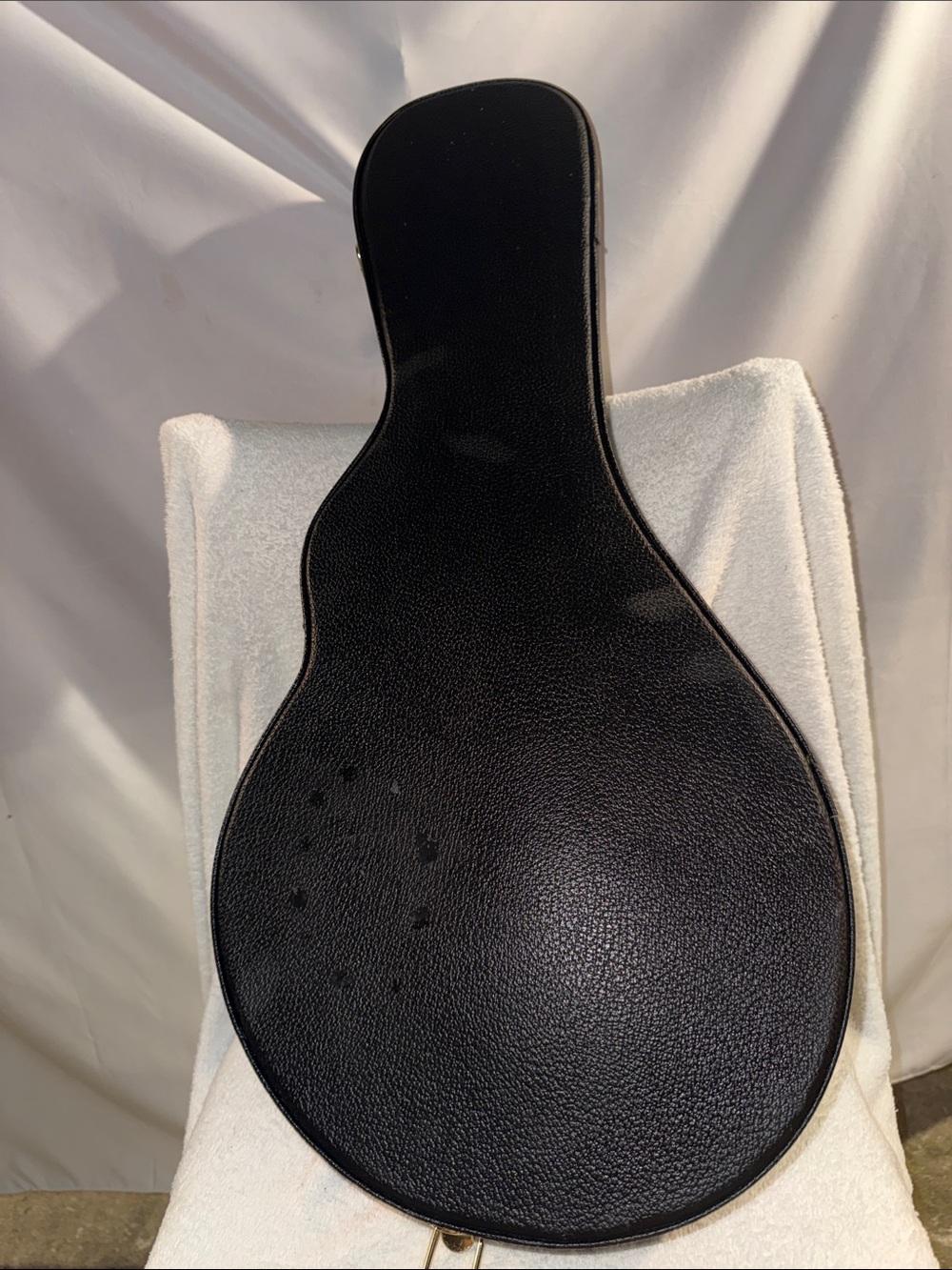 Black Men’s Padded Instrument Violin/ Manda Case - Sleek Protective Carrying Bag